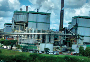 Klabin - Zipfer - 02